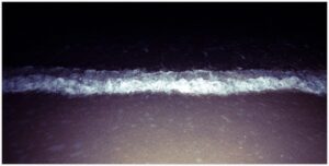 il mio mare d'inverno 2-1